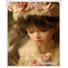 【代购】 DIM 55折活动 Bellosse半眠 Half eyes