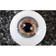 【现货】Bakery眼 14MM 型号:2015Nov