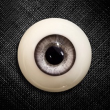 【现货】Mako眼 16MM 型号:AR-007