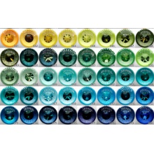 【待开】Dolcebella眼 Crystal系列 41-80号色