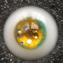 【现货】贝拉眼 16MM ONE-OFF款 如图实物拍摄 BL01