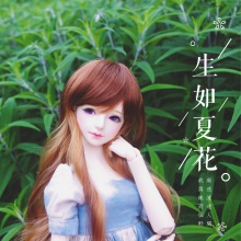 【返图展示】MAKO眼 OWL-016