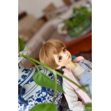 【返图展示】MAKO眼 AM-017