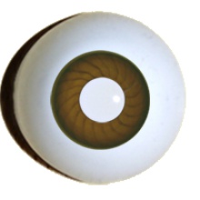 【代购】德眼 Art Eyes系列#41 白瞳 Light Brown
