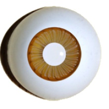 【付款前请先敲猫仔】德眼 Art Eyes系列#46 白瞳 Amber