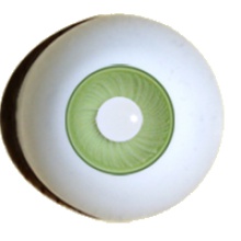 【付款前请先敲猫仔】德眼 Art Eyes系列#81 白瞳 Light Green