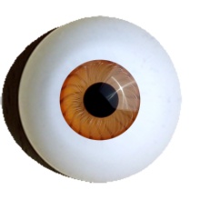 【付款前请先敲猫仔】德眼 Art Eyes系列#46 Amber