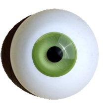 【付款前请先敲猫仔】德眼 Art Eyes系列#81 Light Green