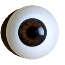 【付款前请先敲猫仔】德眼 Human Like系列#70 Hazel