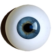 【付款前请先敲猫仔】德眼 Human Like系列#95 Grey Blue