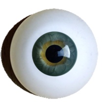 【付款前请先敲猫仔】德眼 Human Like系列#98 Grey Green