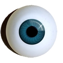 【付款前请先敲猫仔】德眼 Doll Eyes系列#30 Turquoise