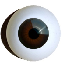 【付款前请先敲猫仔】德眼 Doll Eyes系列#40 Brown