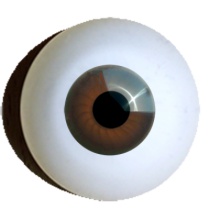 【付款前请先敲猫仔】德眼 Doll Eyes系列#41 Light Brown