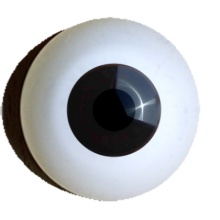 【付款前请先敲猫仔】德眼 Doll Eyes系列#43 Dark Brown