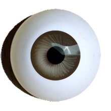 【付款前请先敲猫仔】德眼 Doll Eyes系列#49 Beige