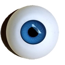 【付款前请先敲猫仔】德眼 Doll Eyes系列#50 Blue