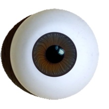 【付款前请先敲猫仔】德眼 Doll Eyes系列#63 Topaz Dark