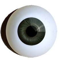 【付款前请先敲猫仔】德眼 Doll Eyes系列#83 Dark Green