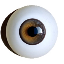 【付款前请先敲猫仔】德眼 Iris系列#47 Gold