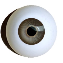 【付款前请先敲猫仔】德眼 Iris系列#49 Beige