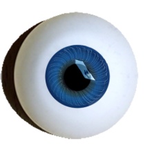 【付款前请先敲猫仔】德眼 Iris系列#50 Blue