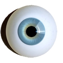 【付款前请先敲猫仔】德眼 Iris系列#55 Ice Blue