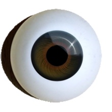 【付款前请先敲猫仔】德眼 Iris系列#60 Topaz