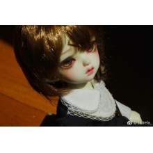 【返图展示】MAKO眼 OWL-004