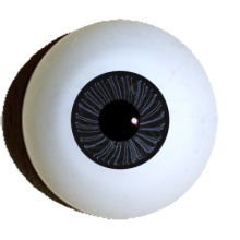 【付款前请先敲猫仔】德眼 Art Eyes系列#13 Coral-Black