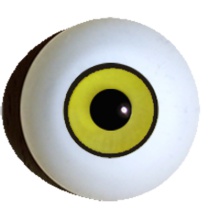 【付款前请先敲猫仔】德眼 Art Eyes系列#27 Gold Yellow