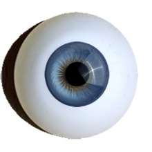 【付款前请先敲猫仔】德眼 Iris系列#51 Light Blue