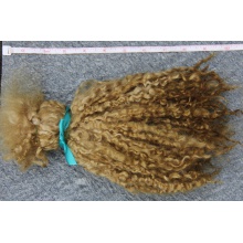 【代购】长羊毛束 货号：697325206