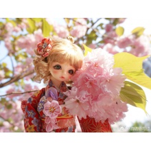 【返图展示】MAKO眼 OZ-014