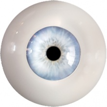 【代购】Eyeco软眼 U系列 Sunlit