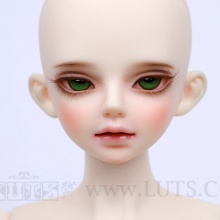 【代购】Luts 限时开仓单头 KDF TERRA Head Limited