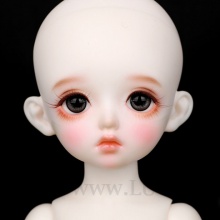 【代购】Luts 限时开仓单头 HDf PANELLE Head Limited