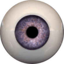 【代购】Eyeco软眼 U系列 Lavender Blaze