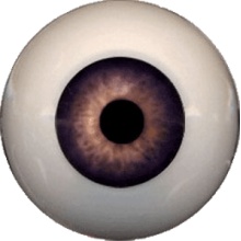 【代购】Eyeco软眼 U系列 Mocha Cream