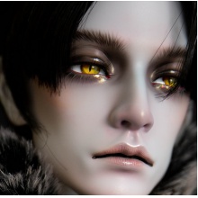 【代购】ASH in noon眼 Amber 琥珀 Meow系